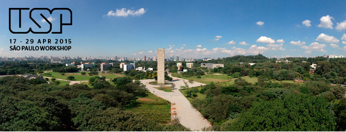 São Paulo skyline from USP